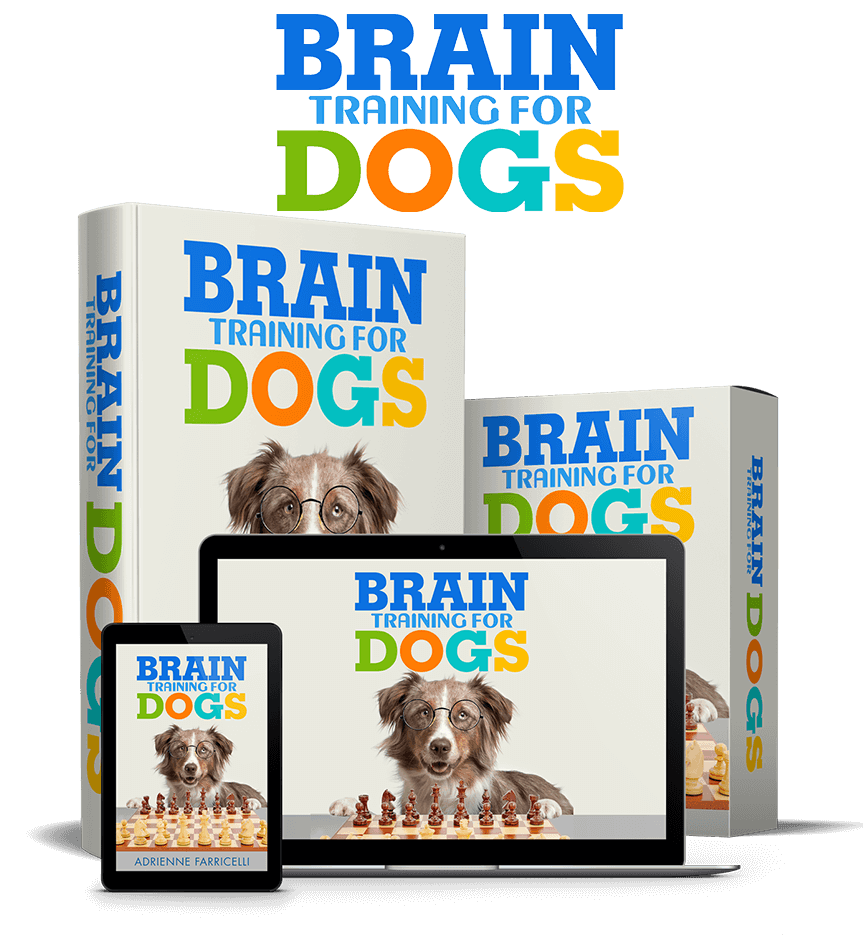 Brain Training for Dog